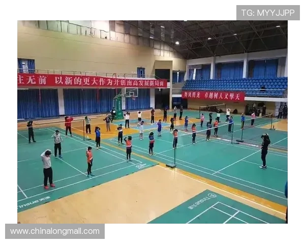 上海羽毛球队的转型之路：深度解析与未来展望