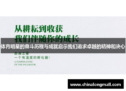 体育明星的奋斗历程与成就启示我们追求卓越的精神和决心