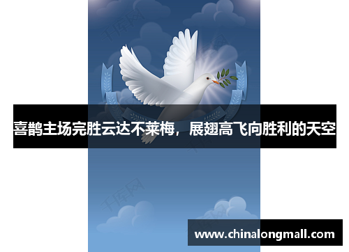 喜鹊主场完胜云达不莱梅，展翅高飞向胜利的天空