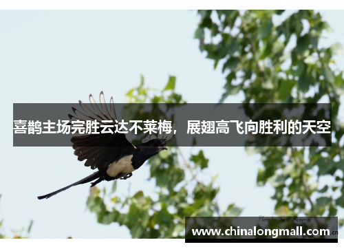 喜鹊主场完胜云达不莱梅，展翅高飞向胜利的天空